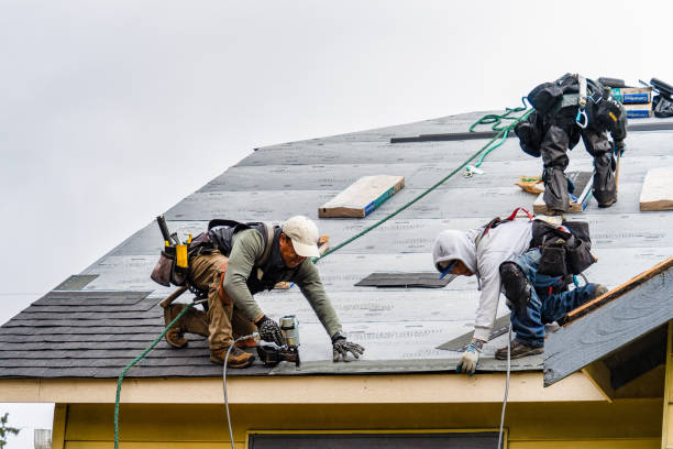 Professional Flat Roof Repair technician working in Mount Morris, IL